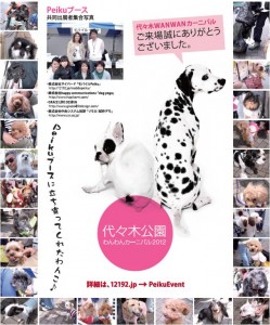 media_4